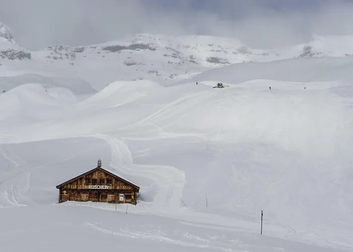 Casa Campanula Casa vacanze